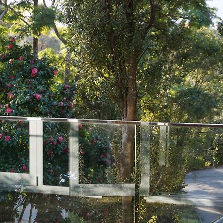 Torbay Tree Tops Auckland Luaran gambar